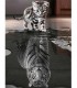 Reflet du chaton Tigre blanc Diamant