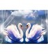 Les cygnes Broderie Diamant