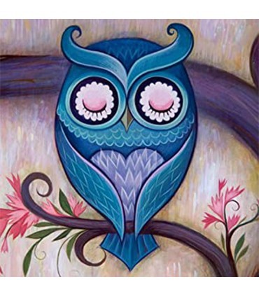 Chouette Dessin Broderie Diamant