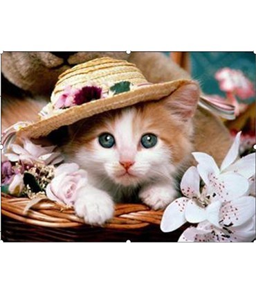 Chaton sous son chapeau en osier Broderie Diamant