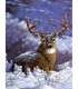 Grand cerf dans la neige Broderie Diamant