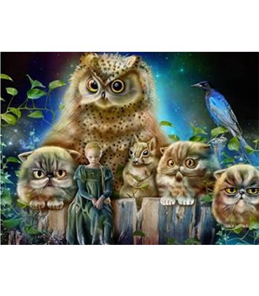 Chat-Chouette Broderie Diamant