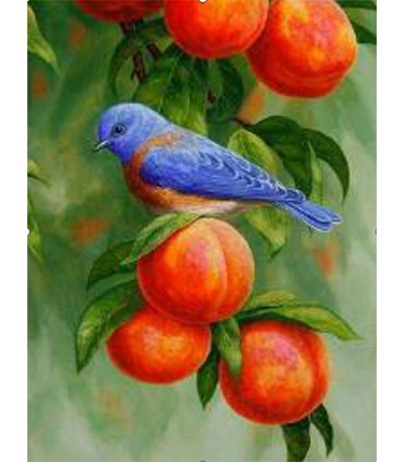 Oiseau bleu sur abricotier Broderie Diamant