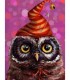 Chouette sorcier Broderie Diamant