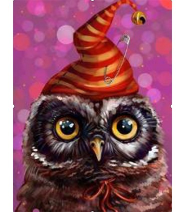Chouette sorcier Broderie Diamant