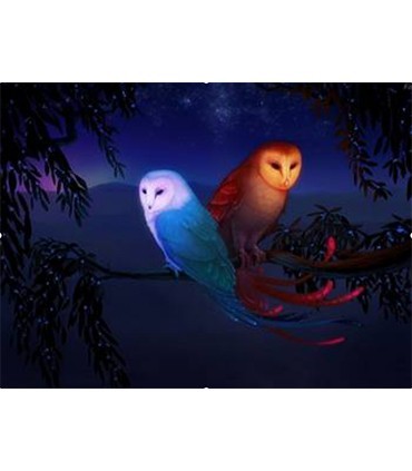 Hibou féérique Broderie Diamant