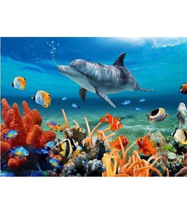 Dauphin Broderie Diamant