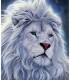 Lion blanc Broderie Diamant