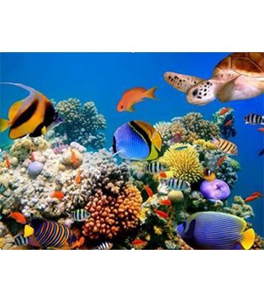 Barrière de corail Broderie Diamant