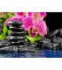 Jardin zen Broderie Diamant
