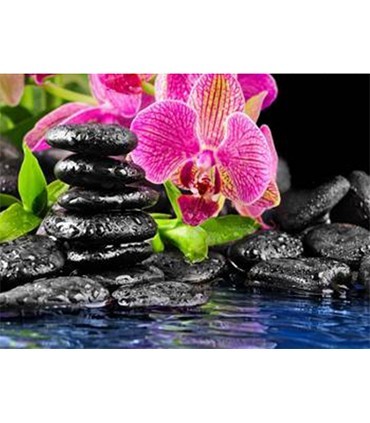 Jardin zen Broderie Diamant