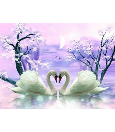 Couple De Cygne En Coeur Broderie Diamant Love Diamond Painting