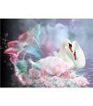 Couple de cygne sur l'eau Broderie Diamant