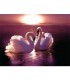 Couple de cygne au couché de soleil Broderie Diamant