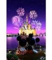 Couple Mickey à Disney Land Diamant