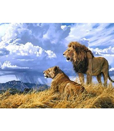 Couple Lion et sa Lionne Broderie Diamant