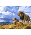 Couple Lion et sa Lionne Broderie Diamant