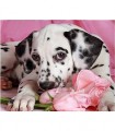 Chiot Dalmatien Broderie Diamant