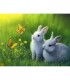Couple de lapin blanc Broderie Diamant