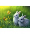Couple de lapin blanc Broderie Diamant