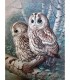 Couple de chouette en forêt Broderie Diamant