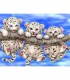 Trio tigreau blanc Broderie Diamant