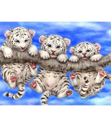 Trio tigreau blanc Broderie Diamant