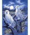 Couple d'hibou dans la nuit Broderie Diamant