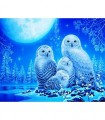 Famille de hibou blanc en hiver Broderie Diamant