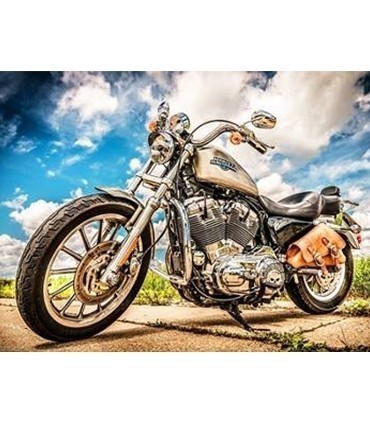 Harley Davidson Broderie Diamant