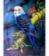 Le Perroquet Majesueux Broderie Diamant