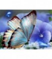 Le Papillon bleu Broderie Diamant