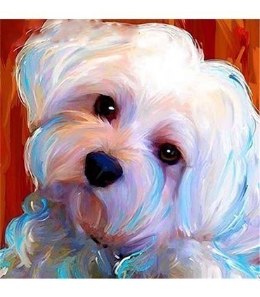 Chien Bichon  Broderie Diamant