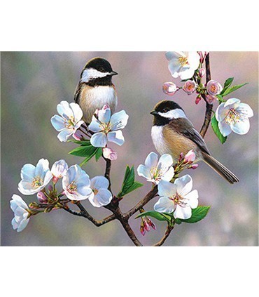 Couple de moineaux Broderie Diamant