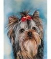 Chien Yorkshire Terrier Broderie Diamant