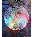 Super Lune multicolore Broderie Diamant