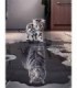 Chat Miroire Diamond Painting