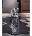 Chat Miroire Diamond Painting