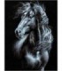 Noir et blanc cheval noir Diamond Painting