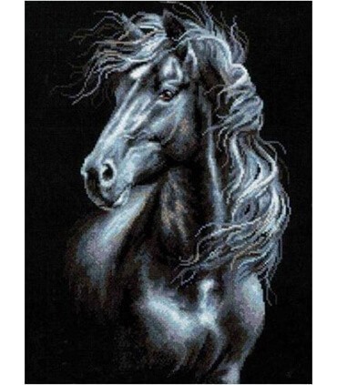 Noir et blanc cheval noir Diamond Painting