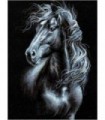 Noir et blanc cheval noir Diamond Painting