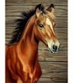 Jeune cheval marron Diamond Painting