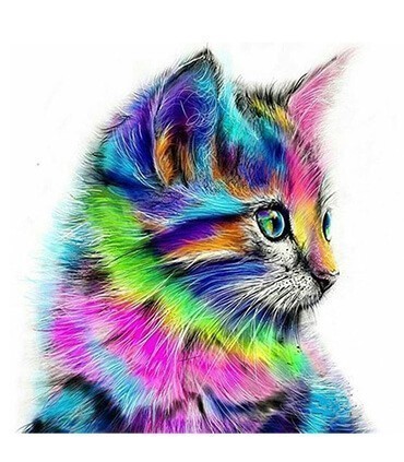 Chat poil mi long coloré Diamond Painting