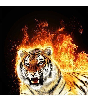 La Flamme du Tigre Diamond Painting