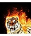 La Flamme du Tigre Diamond Painting
