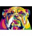 Bulldog Anglais coloré Diamond Painting