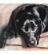 Chien noir Diamond Painting