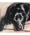 Chien noir Diamond Painting