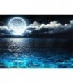 Soir de pleine lune Diamond Painting