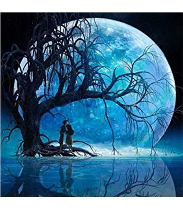 Couple au clair de lune Broderie Diamant